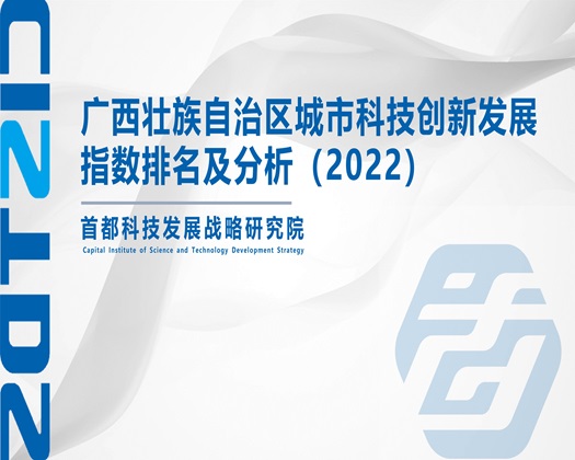 大鸡巴日小逼视频免费看【成果发布】广西壮族自治区城市科技创新发展指数排名及分析（2022）